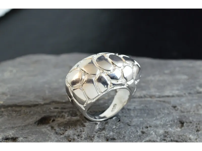 Anillo de Plata