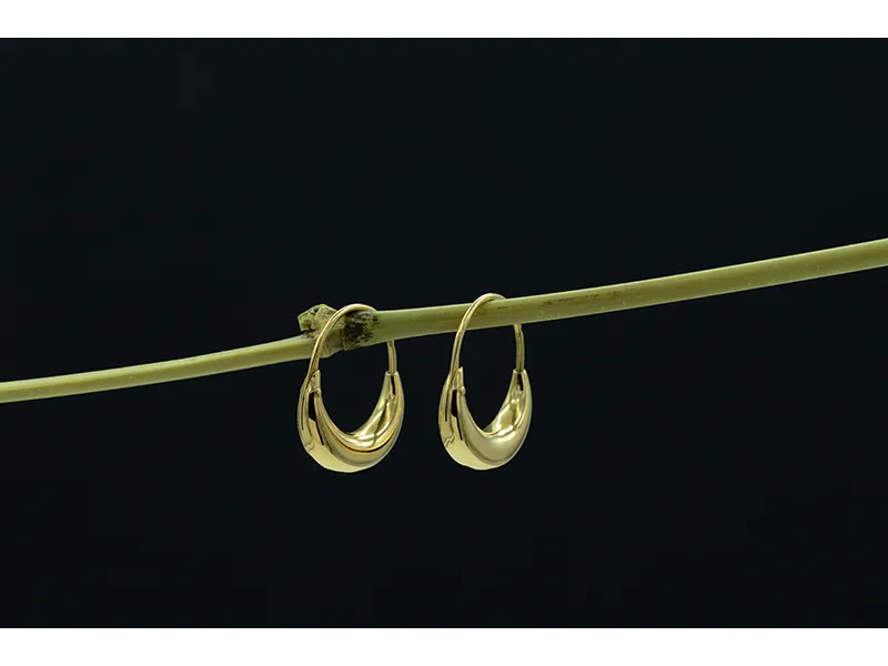 Gold Hoop Earrings