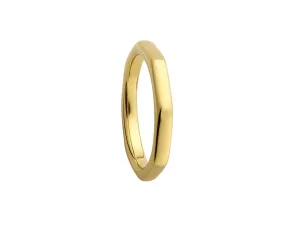 Anillo de Plata de Ley