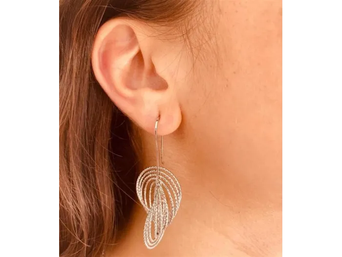 Silver Earrings with Circles