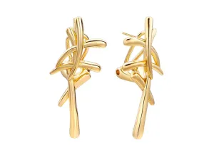Pendientes de Plata
