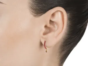 Pendientes de Plata con Esmalte