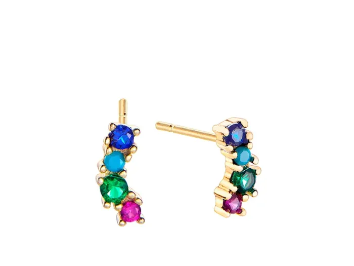 Silver Climber Earrings