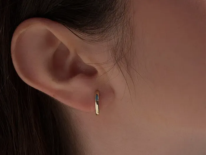 Silver Earrings in an Oval Hoop Shape