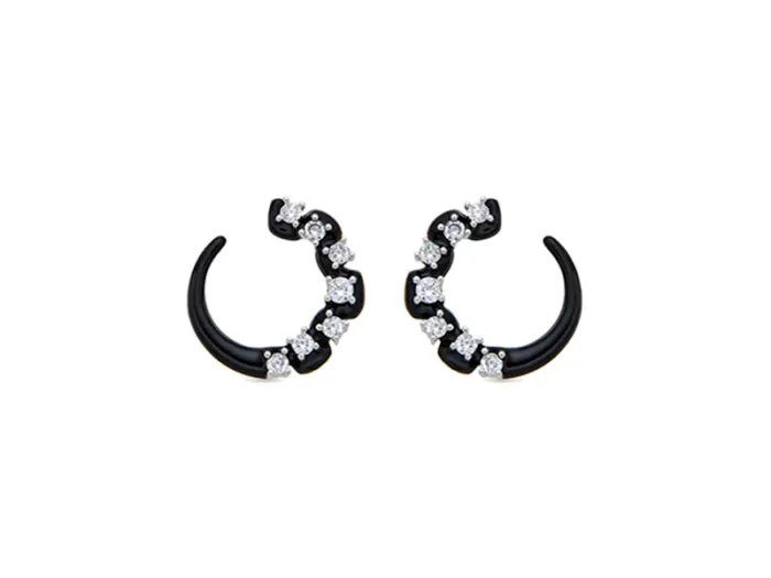 Pendientes de Plata
