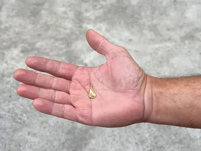 Colgante de Oro Mejillón