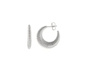 Pendientes de Plata