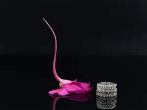 Anel Victoriano de Ouro Branco con Diamantes