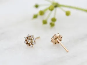 Rose Gold Earrings with Diamonds