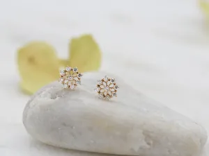 Pendientes de Oro Rosa y Diamantes