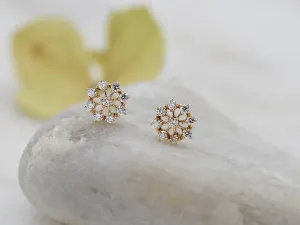 Pendientes de Oro Rosa y Diamantes