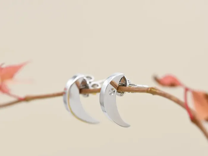 White Gold Earrings with Diamonds