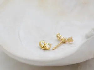 Pendentes Trepadores de Ouro con Circonitas