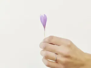 Anillo Trencita de Oro Rosa