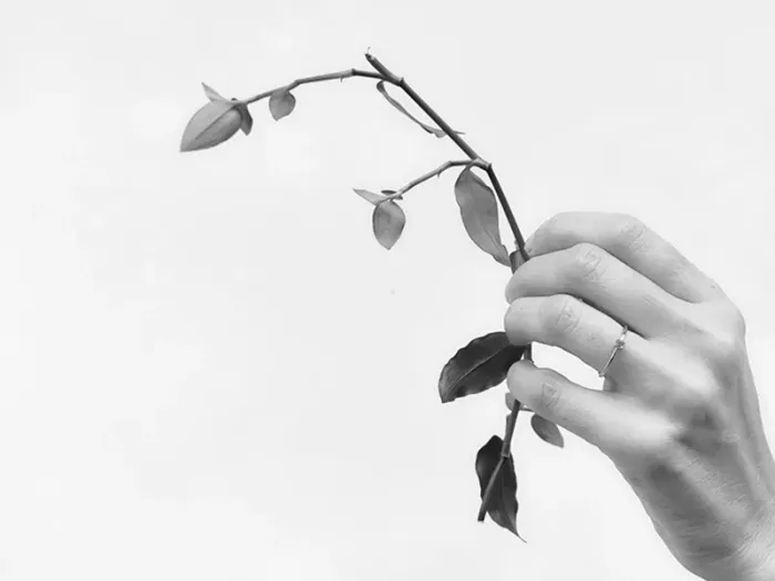 Anillo de Oro Rosa y Rubí