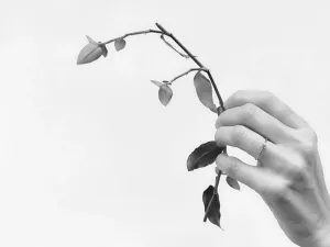 Anillo de Oro Rosa y Rubí