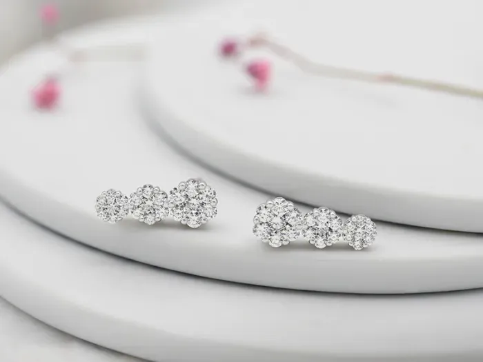 Pendientes Trepadores de Oro Blanco