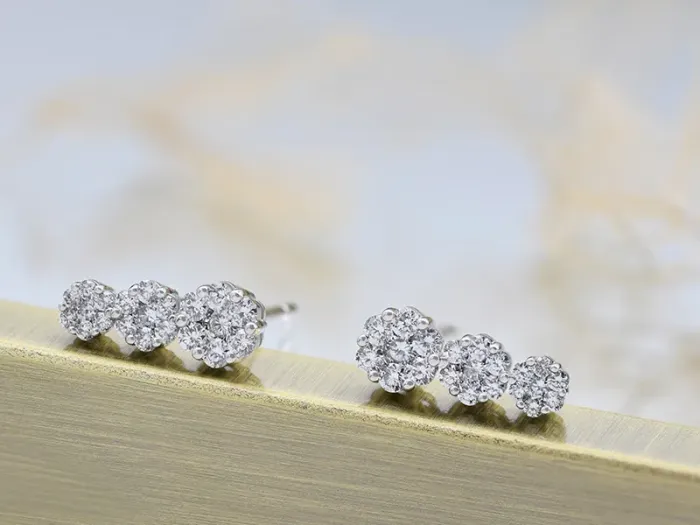 Pendientes Trepadores de Oro Blanco