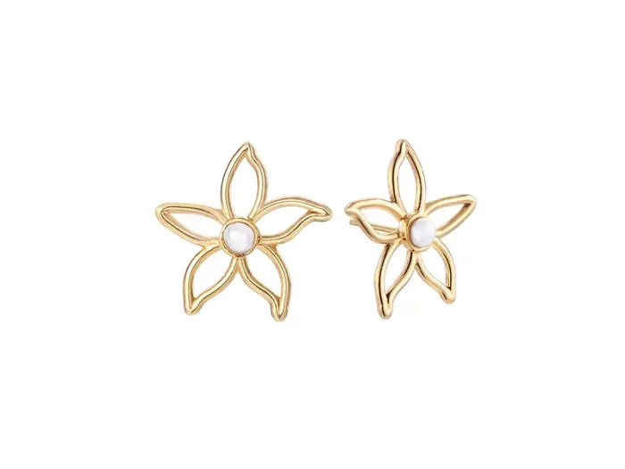 Pendientes de Plata