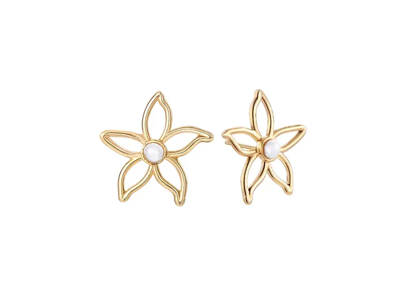 Pendientes de Plata