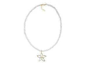 Collar de Plata con Perlas
