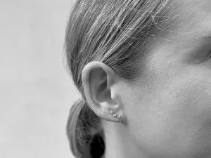 White Gold Climbing Earrings with Zirconias