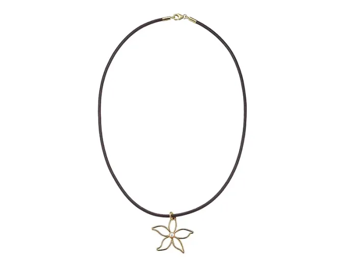 Collar de Plata