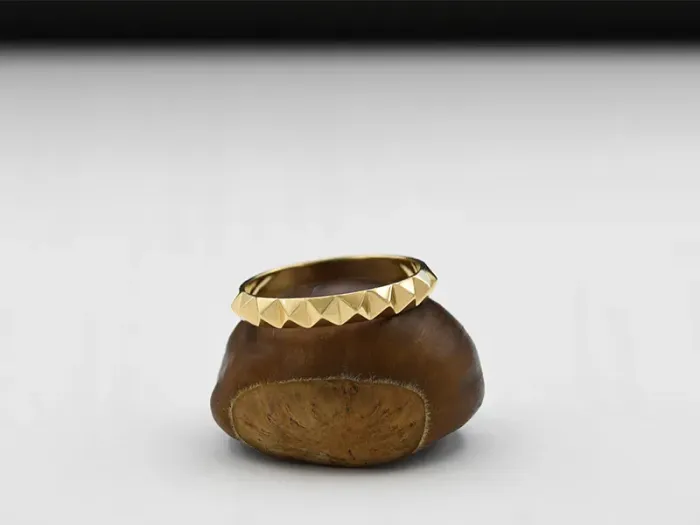 Anel de Ouro Punk